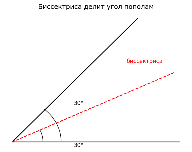 Биссектриса делит угол пополам